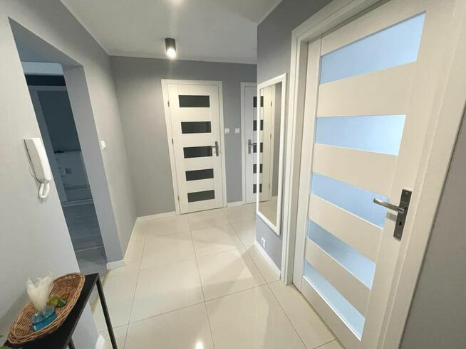 Profesjonalne usługi remontowo-wykończeniowe