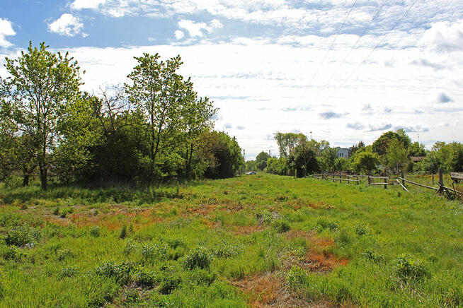 Działka z możliwością zabudowy w Gostyninie 11 166m2 MEDIA