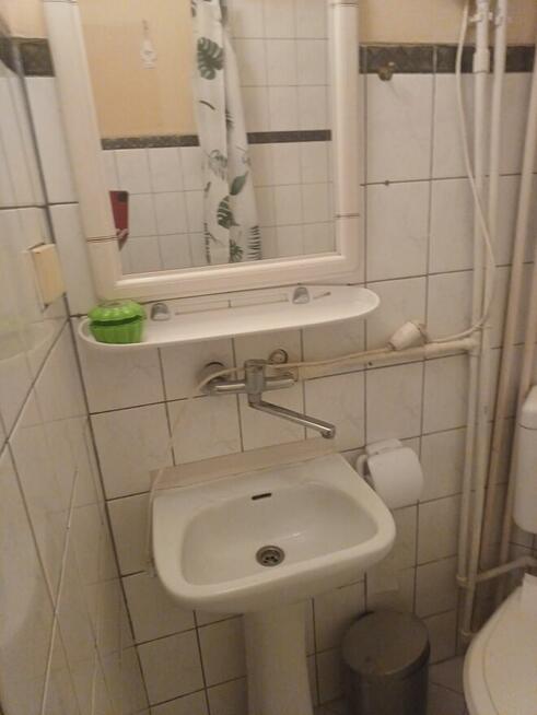 Kawalerka w Pszczynie