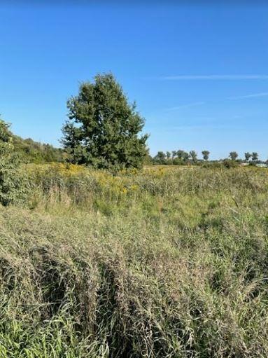 9900 m² – usługi, przemysł, zabudowa mieszkaniowa.