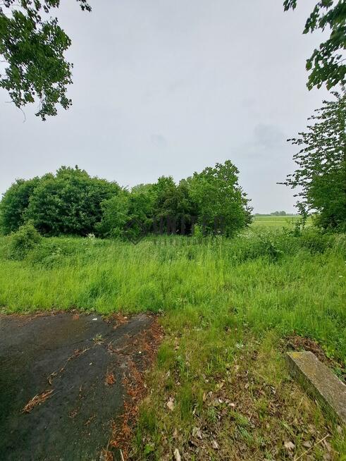 Działka w Kostomłotach niedaleko Środy Śląskiej