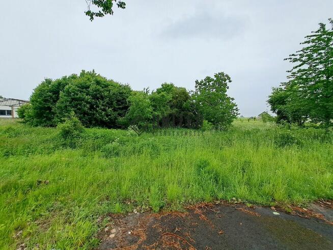 Działka w Kostomłotach niedaleko Środy Śląskiej