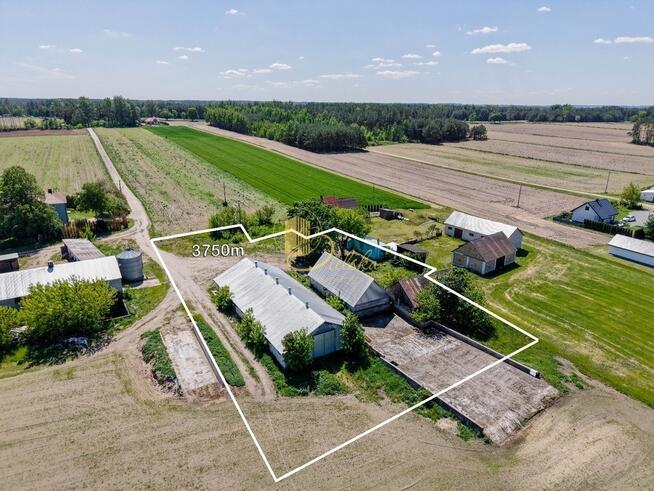 Dom i gospodarstwo z potencjałem Czechowizna