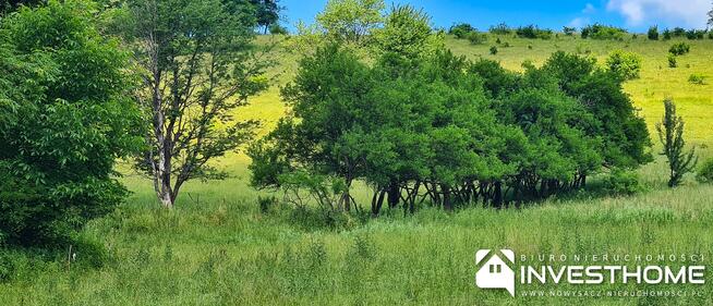 Działka rolno-budowlana Kotów gm. Łabowa
