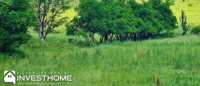 Działka rolno-budowlana Kotów gm. Łabowa