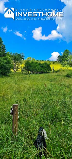 Działka rolno-budowlana Kotów gm. Łabowa