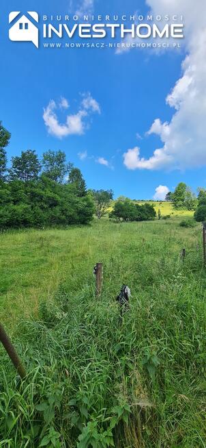 Działka rolno-budowlana Kotów gm. Łabowa