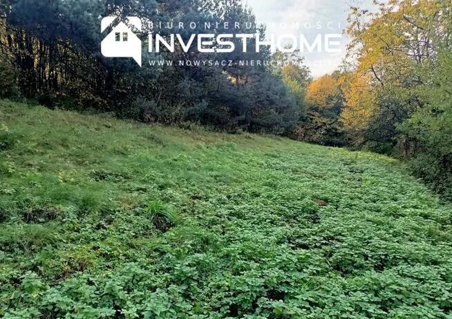 Działka budowlana Nowy Sącz