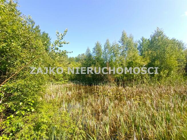 Działka Nowinka Strękowizna