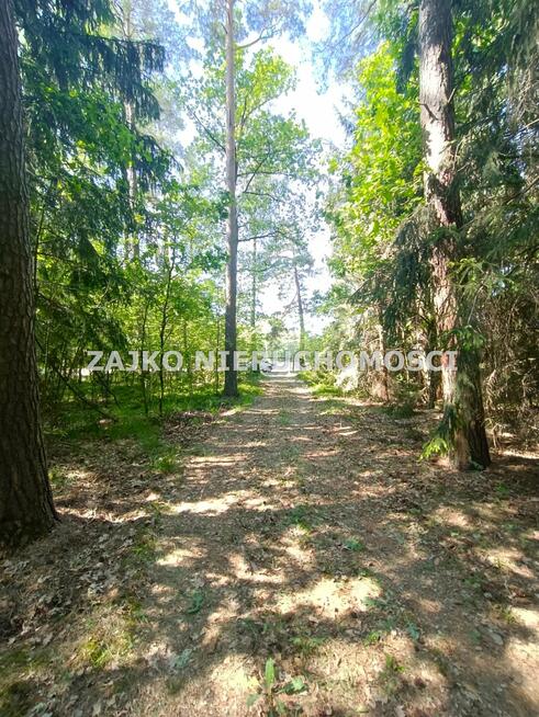 Działka Nowinka Strękowizna