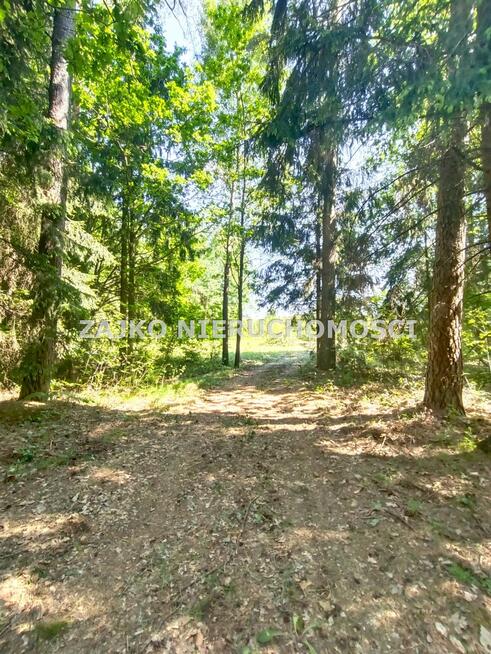 Działka Nowinka Strękowizna