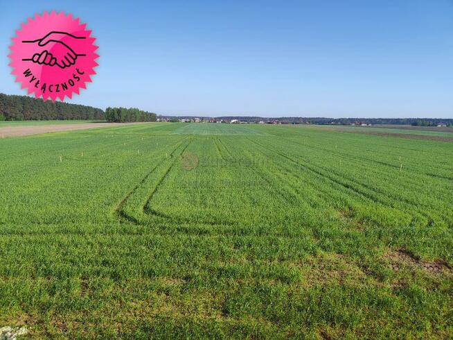 Działka budowlana Galewice