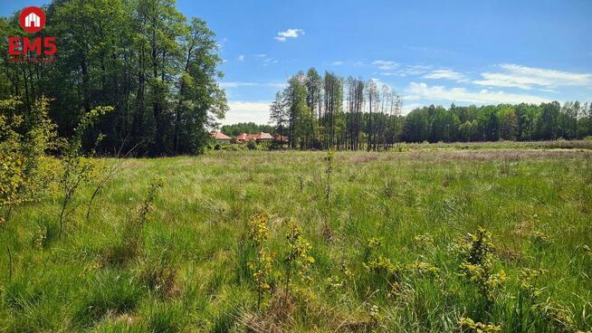 Działka inwestycyjna Zaścianki gm. Grabówka