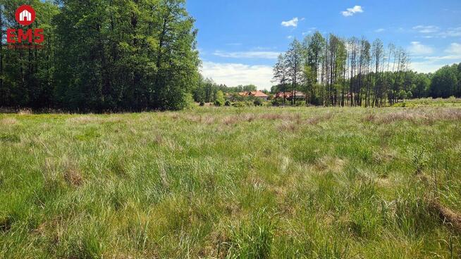 Działka inwestycyjna Zaścianki gm. Grabówka