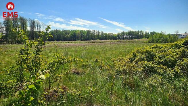 Działka inwestycyjna Zaścianki gm. Grabówka