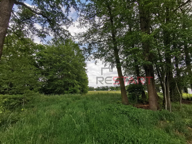 Działka budowlana Kałęczyn gm. Grodzisk Mazowiecki,