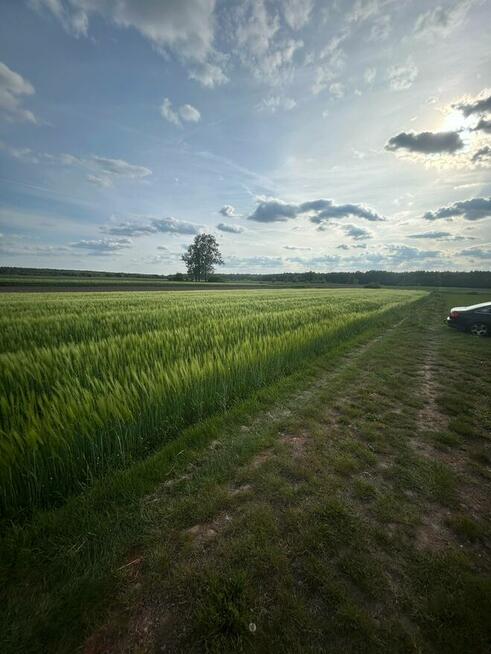 Brzeźno ul. Leśna działka budowlana na sprzedaż