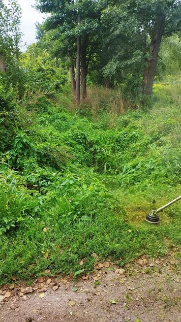 Pielęgnacja zieleni, koszenie trawy, prace ogrodnicze