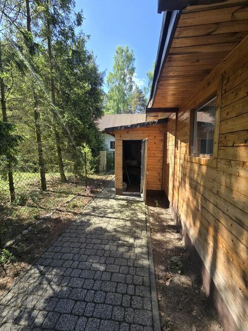 domek letniskowy w lesie na Czekance