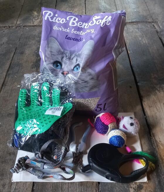 Transporter dla zwierząt