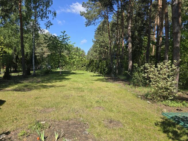 domek letniskowy w lesie na Czekance