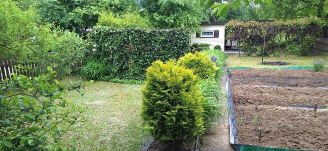 Sprzedam działkę ogrodowo-rekreacyjną ROD \