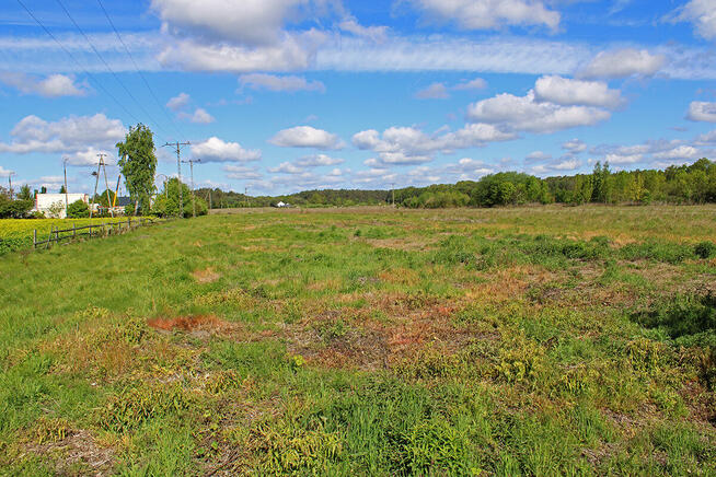 Działka z możliwością zabudowy w Gostyninie 11 166m2 MEDIA