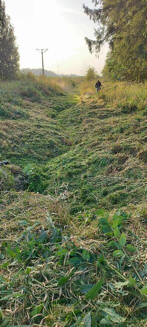 Pielęgnacja zieleni, koszenie trawy, prace ogrodnicze