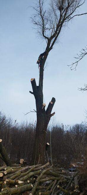 Pielęgnacja zieleni, koszenie trawy, prace ogrodnicze