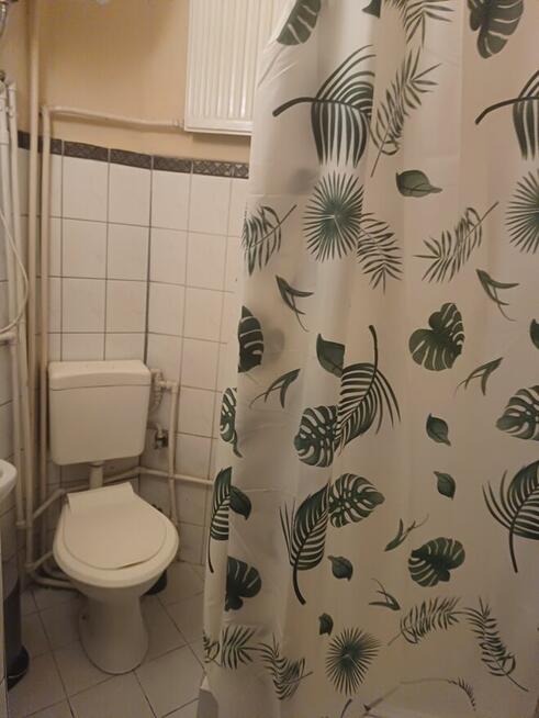 Kawalerka w Pszczynie