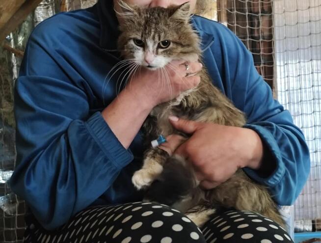 Piękny, dobry, miły - Dobromił szuka swojego Człowieka