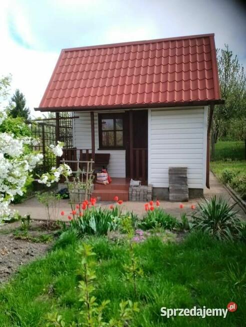 Działka 300 m2 ROD w Białysmstoku ul. Mickiewicza 102