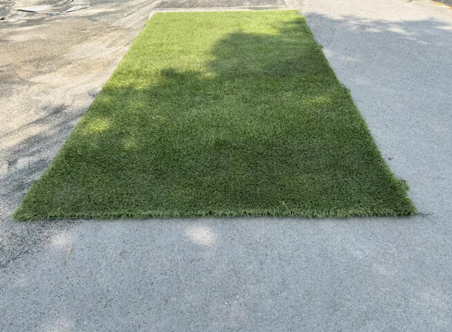 Sztuczna Trawa Piłkarska Orlik pod wybieg dla zwierząt