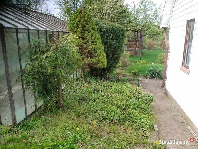 Działka 300 m2 ROD w Białysmstoku ul. Mickiewicza 102