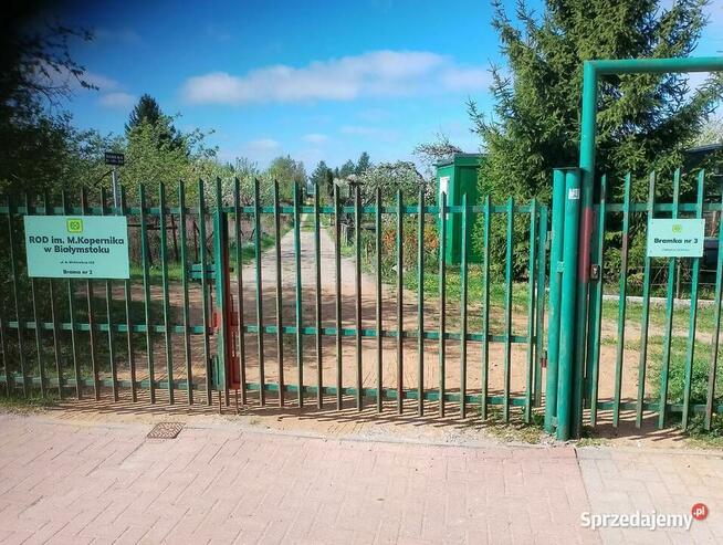 Działka 300 m2 ROD w Białysmstoku ul. Mickiewicza 102