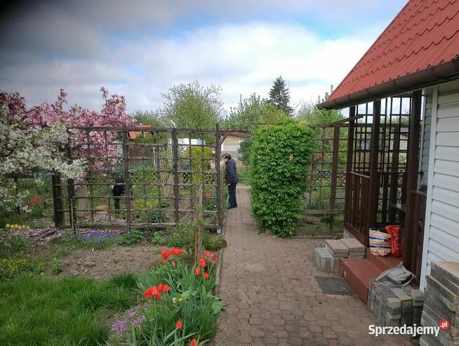 Działka 300 m2 ROD w Białysmstoku ul. Mickiewicza 102