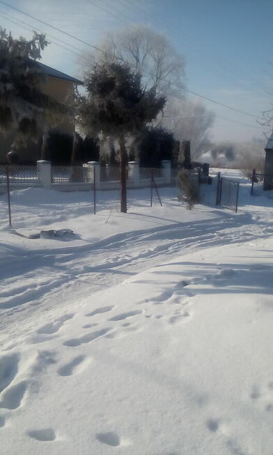 Matrymonialne zapoznanie zaprzyjaźnienie przyjaźń