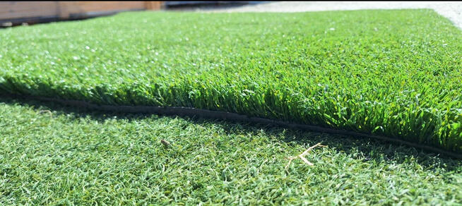 Sztuczna Trawa Piłkarska Orlik pod wybieg dla zwierząt