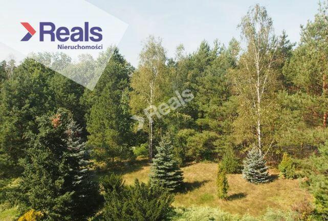 Dom na dużej działce 3000m2, urokliwa lokalizacja