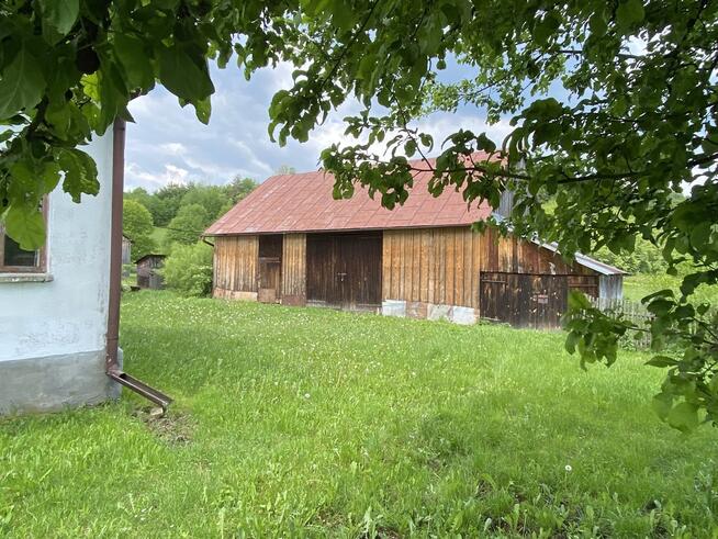 Atrakcyjna nieruchomość