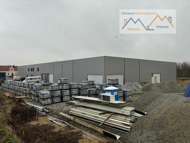 Lokal użytkowy Wołów