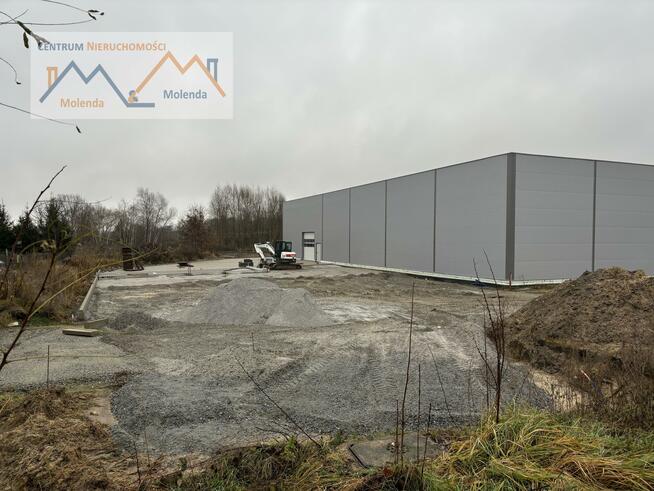 Lokal użytkowy Wołów