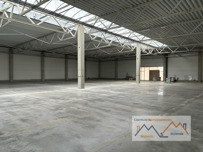 Lokal użytkowy Wołów