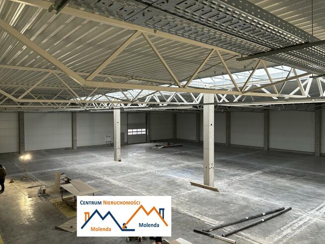 Lokal użytkowy Wołów