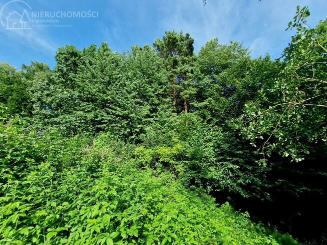 Działka leśna Sitnica gm. Biecz