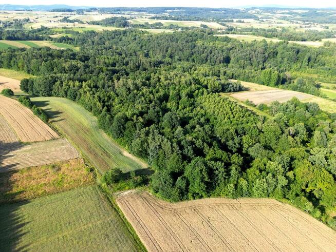 Działka leśna Sitnica gm. Biecz
