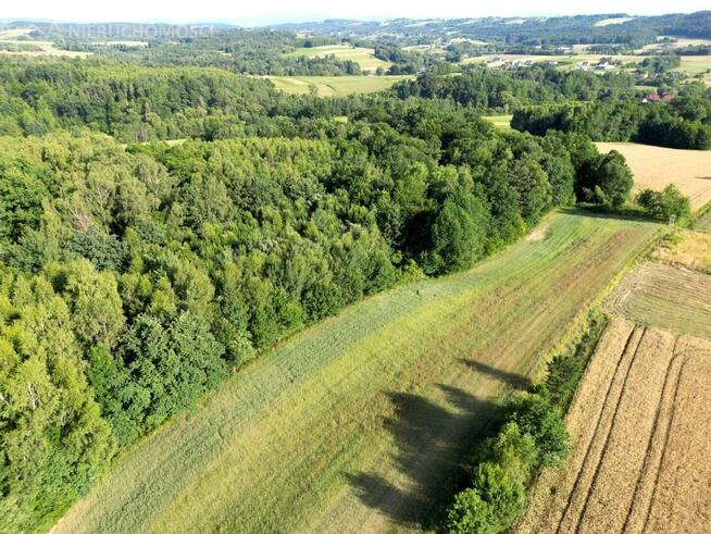 Działka leśna Sitnica gm. Biecz