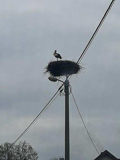 Dom na wsi, działka budowlana 3040m