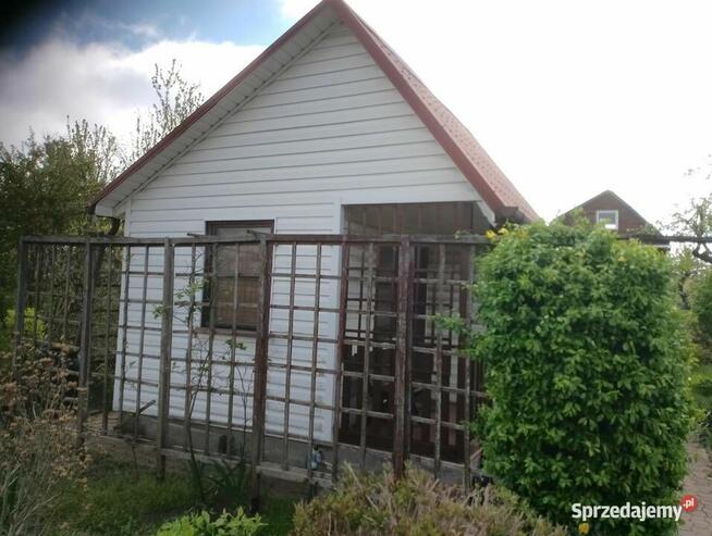 Działka 300 m2 ROD w Białysmstoku ul. Mickiewicza 102