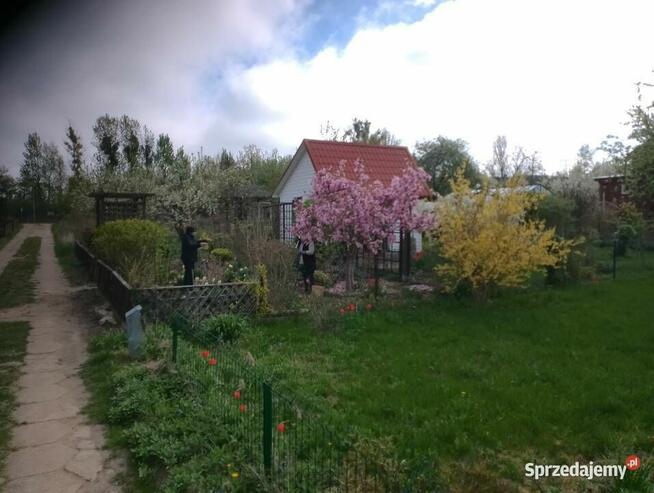 Działka 300 m2 ROD w Białysmstoku ul. Mickiewicza 102